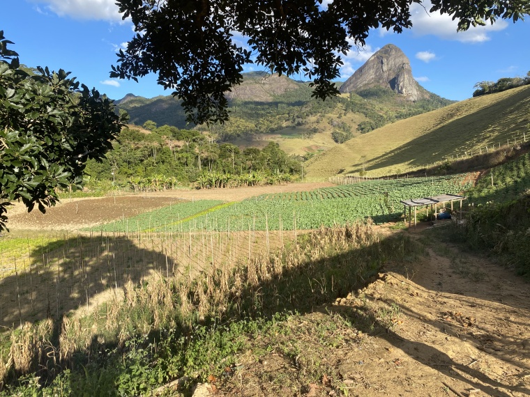 Sítio,Venda,SÍTIO,1089