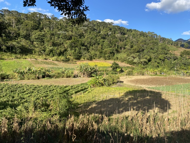 Sítio,Venda,SÍTIO,1089