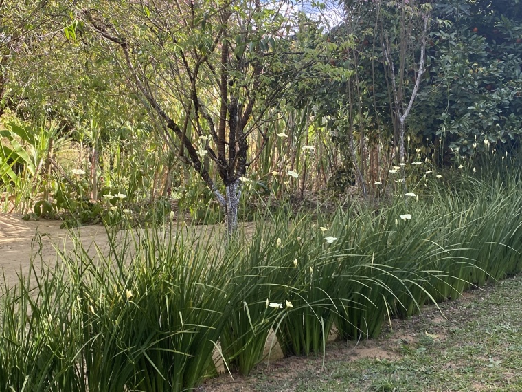 Chácaras,Venda,CHÁCARA,1094