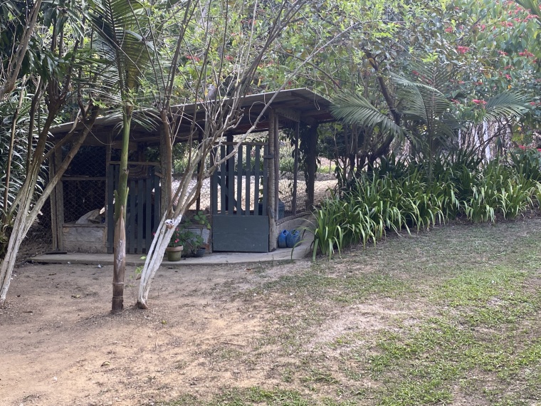 Chácaras,Venda,CHÁCARA,1094