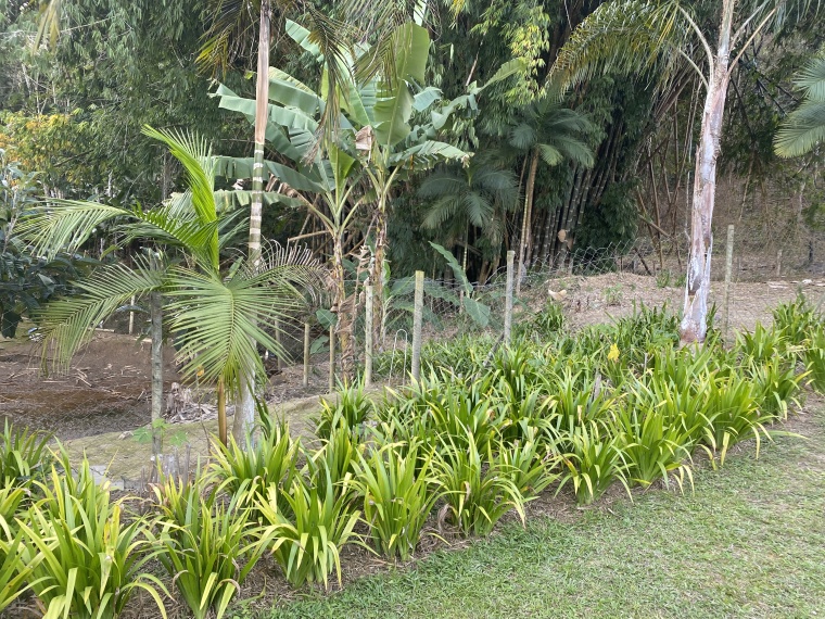 Chácaras,Venda,CHÁCARA,1094